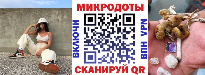 где купить наркоту  Кемь  Галлюциногенные грибы Psilocybe 