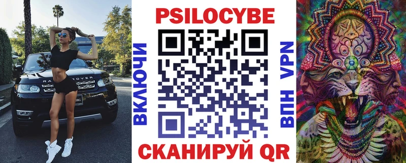 Псилоцибиновые грибы Psilocybe Кемь